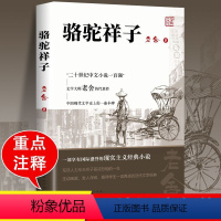 [赠考点]骆驼祥子+海底两万里 [正版]骆驼祥子原著老舍初中必读课外阅读书籍七年级人民文学出版社