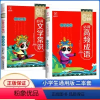 [2册]高频成语+文学常识 小学通用 [正版]8分钟必背高频成语积累大全训练词典小学生版中华现代汉语字典四字词语带解