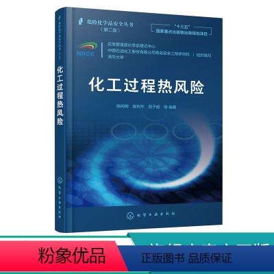 [正版]危险化学品安全丛书 化工过程热风险 陈网桦 陈利平 工过程风险识别方法不同事故后果分析模型 反应过程热风险评估