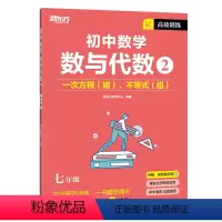 数与代数2 七年级 初中通用 [正版]高效训练初中数学 七年级八年级九年级中考数学刷题同步代数几何统计辅导资料中考提分