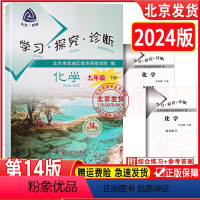 化学下册 九年级下 [正版]2024春版学习探究诊断 九年级化学下册 第14版人教版RJ版学探诊9年级下册化学初三下