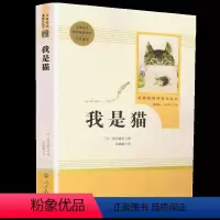 [正版]我是猫 夏目漱石 九年级下册语文课外阅读/初中生教辅用书/文学名著书籍