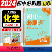 化学 九年级下 [正版]2024春新版 初中九年级下册化学 人教版RJ 初三9/九年级下册化学同步训练练习册 理想树初中