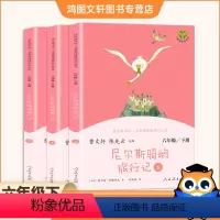 [正版]快乐读书吧六年级下册全套3本人教版尼尔斯骑鹅旅行记上中下小学生课外书籍经典书目阅读书籍历险记六年级下
