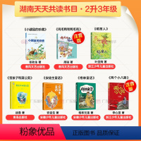 [全7册]二升三年级 [正版]湖南天天共读暑期快乐读书吧 二升三年级全7册 格林童话安徒生童话稻草人两个小八路(注音彩绘