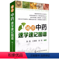 [正版]袖珍中药速学速记图谱 常用中药饮片400余种 总结特征鉴别口诀常见中药饮片书 化学工业社 中医学入门中药饮片鉴