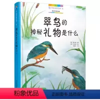 [正版]身边的自然课4:翠鸟的神秘礼物是什么大自然的十万个为什么小学生幼儿百科全书儿童科普百科书籍图鉴绘本故事书