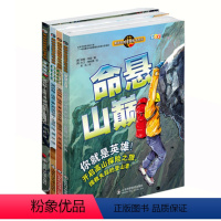 男孩的地理冒险书系列(全4册) [正版]命悬山巅激流勇进地心奇遇深海探险男孩的地理历史冒险书全4册法老之谜迷宫怪兽骑士传