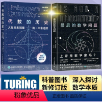 [正版]代数的历史/后的数学问题 代数学历史虚实探 代数学科普读物 线性代数 图灵出品