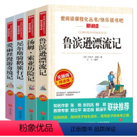 六年级下册套装 [正版]全套4册六年级的课外书下册原著完整版鲁滨逊漂流记爱丽丝漫游奇境尼尔斯骑鹅旅行汤姆索亚历险记快乐读