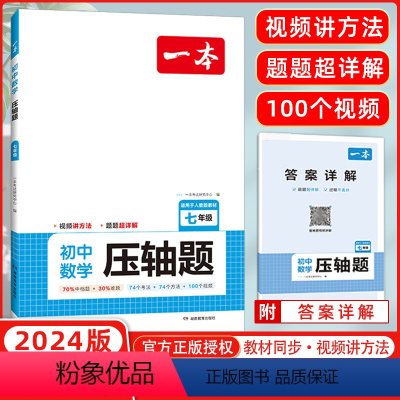 数学 七年级 [正版]2024 七年级初中数学压轴题有理数方程初一数学必刷题上下册通用数学专题训练解题方法数学答题模板例