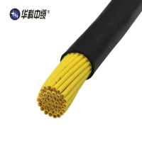 华科中缆 阻燃铜芯控制电缆 ZR-KVVP22-2 米