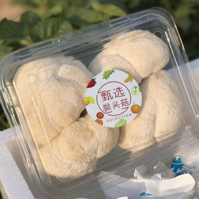 福建猴头菇400g*2盒食用菌干货 均匀饱满,肉质细煲汤食材菌菇