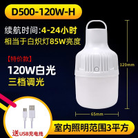 迷你120w-H白光续航36H 亏本 45v停电灯泡地滩led节能灯60v摆摊灯夜市灯三轮车地摊灯工作灯36v