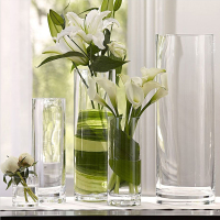 直径10 高10 厘米 花瓶玻璃透明富贵竹插花圆柱直筒餐桌花瓶简约婚庆路引落地花器大