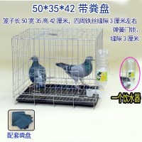 50*35*42带粪盘 大号加粗鸽子用品用具12位16位养殖鸽子笼信鸽配对笼肉鸽繁殖笼子