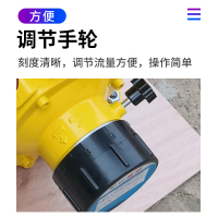 机械隔膜计量泵耐酸碱耐腐蚀加药泵可调节流量泵化工污水处理设备