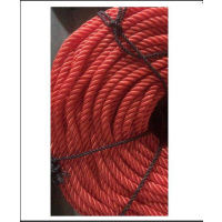 ANPEN(安攀) 高强度涤纶丝(外皮内芯)直径16mm 按米销售红色