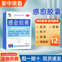 感愈胶囊12粒/盒 清热解毒 疏风解表 用于风热感冒所致的发热 有汗、鼻塞、喉咙痛、咳嗽、感冒药