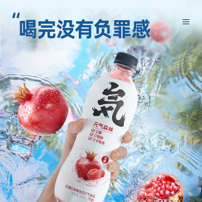 元气森林气泡水石榴红树莓味480ml*15