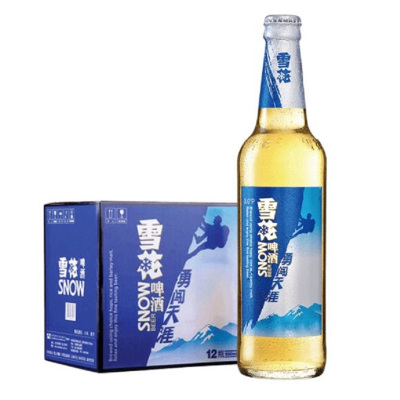 雪花勇闯天涯10(新)580ml