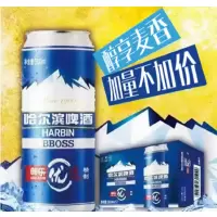 哈尔滨 邮乐优选精制啤酒 500ml/听