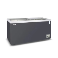 星星(XINGX)商用展示柜玻璃门 冷藏冷冻单温转换卧式冰柜 SD/SC-380B