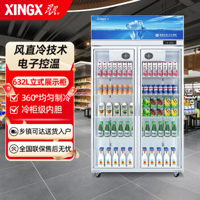 星星(XINGX) 632升双门冷藏展示柜商用风冷多门立式冷藏柜啤酒柜饮料柜陈列柜酒吧酒柜 LSC-668WD