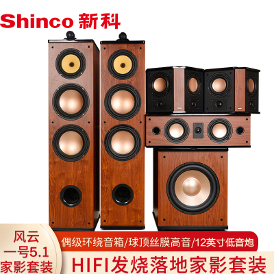 新科(Shinco)5.1家庭影院音响客厅电视音箱套装 (风云一号5.1套装不含功放)高压元件固定带佛盒谱