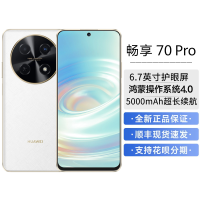 华为畅享70 Pro 雪域白 256GB 1亿像素超清影像 全网4G 5000mAh大电池 6.7英寸护眼大屏 40W超极快充 鸿蒙智能 全网通4g手机