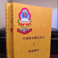 中观根本慧论讲记 上下册2本 智诚收藏品之佳品之稀有 A4特大