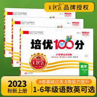 王朝霞 培优100分2023秋上册三年级小学二四五六年级试卷部编人教版语文北师苏教冀教数学英语一年级试卷测试卷全套复习测