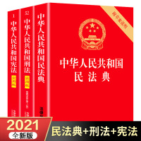 +刑法+民法典正版全套3册2021年新版法律书籍 中华人民共和国实用版正版书籍中国法制出版社刑法修正案十一法条