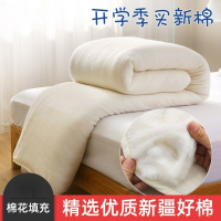 新疆棉花被子被芯春秋棉被冬被厚保暖铺底棉絮床垫被学生单人褥子