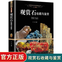 观赏石收藏与鉴赏 原石成因类别采集配座参考价值/作伪手段养护鉴别真假方法/造型石纹理石晶体石化石印石不同品类详解书籍