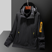 双惠男女款冬季标志工作服上衣SH552-A,填充物3M棉,黑色155-195