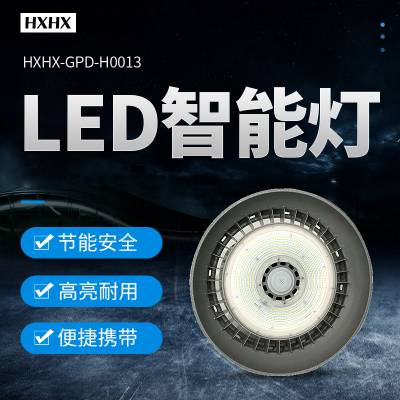 HXHX HXHX-GPD-H0013、AC220V、150W、IP65、LED智能灯