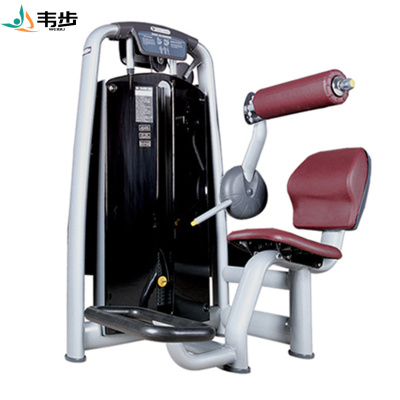韦步wellBu6006商用坐姿背肌伸展练习机坐式腰部后压背肌训练力量器械