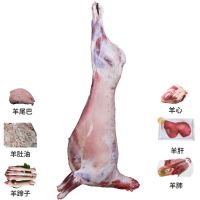 六盘生龙 宁夏滩羊肉 冰鲜羊肉 精选农户散养小羊羔 整只小羊羔(带羊副产品)500g/袋 顺丰空运48小时达