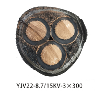 哈德通 高压铜芯电力电缆ZR-YJV22 3*70-8.7/15kV (米)