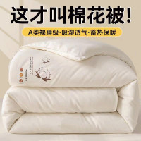 安琪尔加厚保暖绒素材棉花被子150*200条