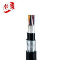 奉缆 铜芯电缆 HYAT53-30*2*0.5 mm²/米
