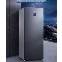 美菱(MELING)BD-168WEB立式冷冻柜一级能效 电脑控温 风冷无霜