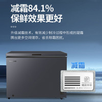 美菱(MeiLing) 卧式冷柜 BC/BD-301DT神秘灰 301升低霜大容量 家用商用 冷藏冷冻转换 一级能效