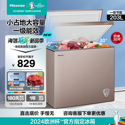 海信(Hisense)203升减霜冰柜家用商用小型冷柜 冷藏冷冻转换囤货母婴 一级能效卧式冰箱BD/BC-203NUD