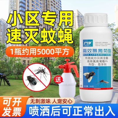 小区专用灭蚊蝇室外杀虫剂高效氯氰菊酯药杀虫剂大面积灭蚊子克星