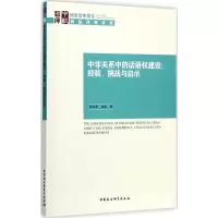 中非关系中的话语权建设:经验、挑战与启示