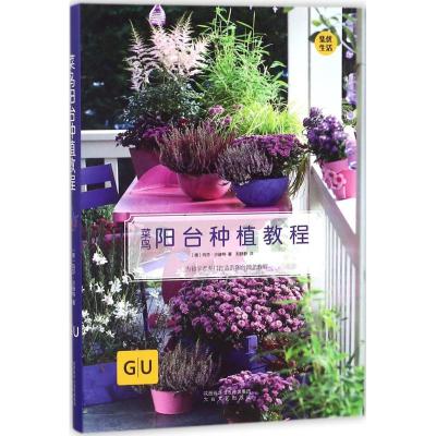 菜鸟阳台种植教程