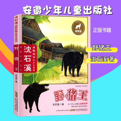 野猪王沈溪石动物故事注音本沈溪石著美绘版绘本走进惊心动魄的动物世界领略动物小说的神奇魅力安徽少年儿童出版社__525