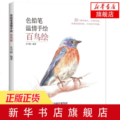 色铅笔温情手绘 百鸟绘 铅笔素描趣味基础绘画入书 手绘教程书籍 手绘百鸟绘画画书教材美术教程 新手自学教程 _356